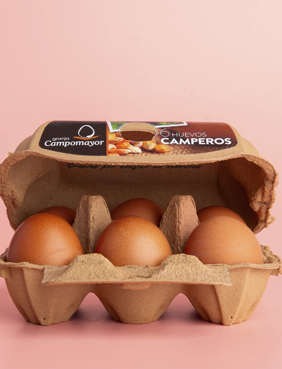 Huevos Camperos Gallegos